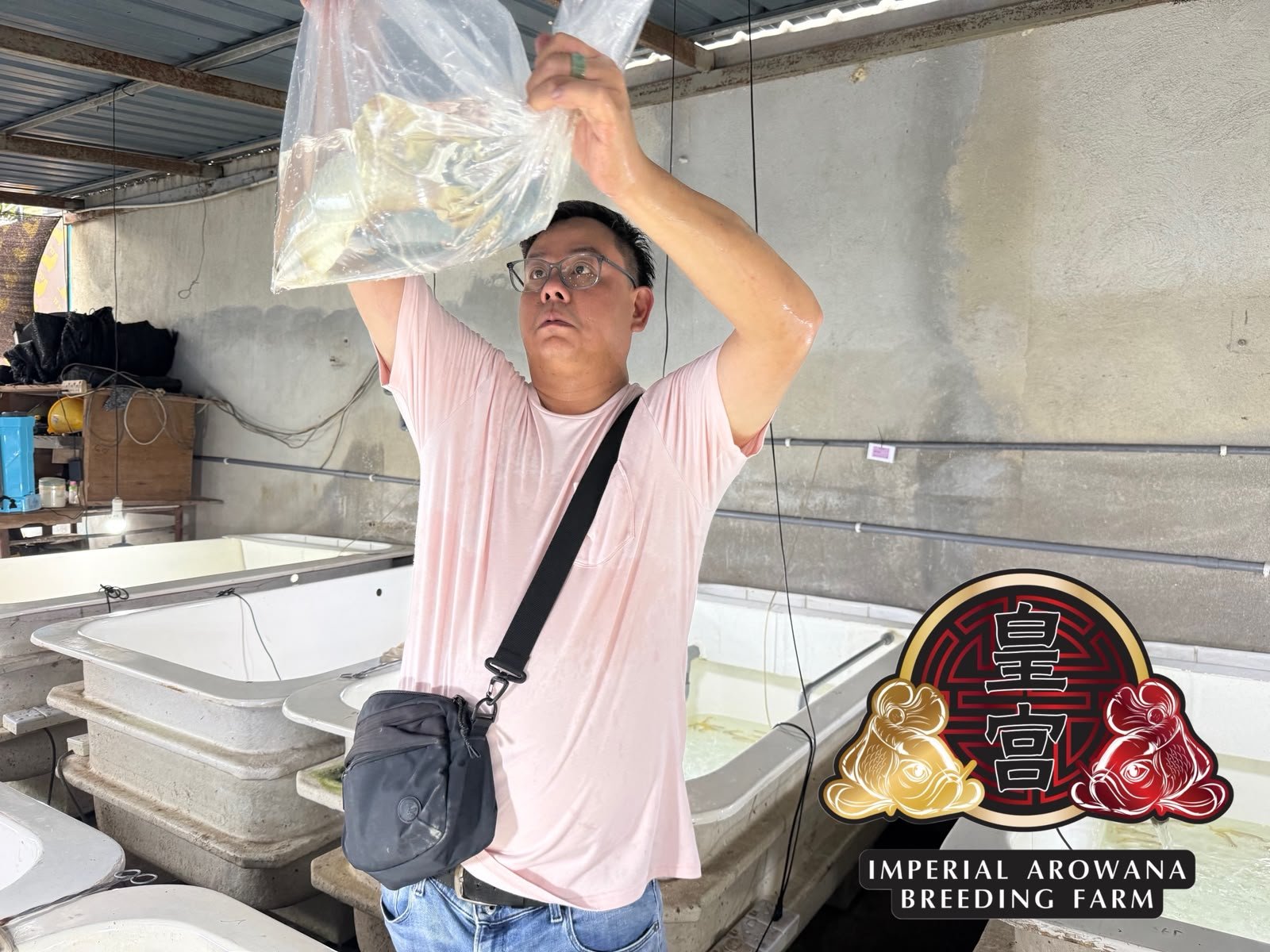 QC process within our farm